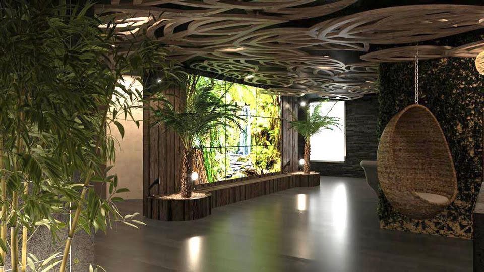 Rainforest Elemis Package Clifford Day Spa Day Spa & Health Club in